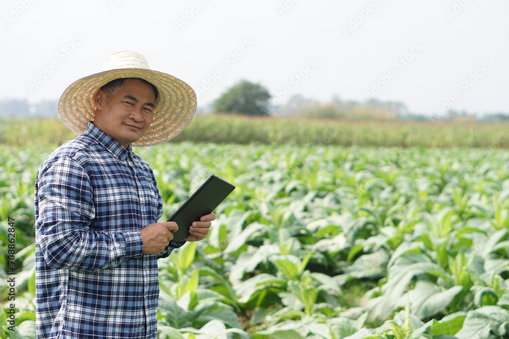 Asian man gardener is at garden, wears hat, plaid shirt, holds smart tablet to inspect growth and diseases of plants. Concept, agriculture inspection, study survey and research to develop crops.