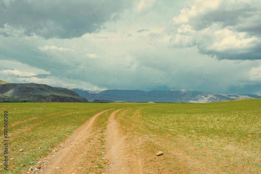 Fototapeta premium landscape with a road
