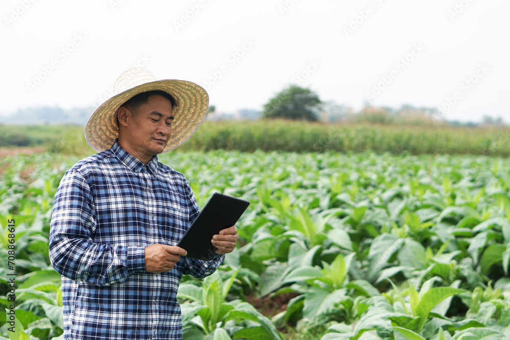 Asian man gardener is at garden, wears hat, plaid shirt, holds smart tablet to inspect growth and diseases of plants. Concept, agriculture inspection, study survey and research to develop crops.      