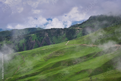 Large flock of sheep on a mountain pasture