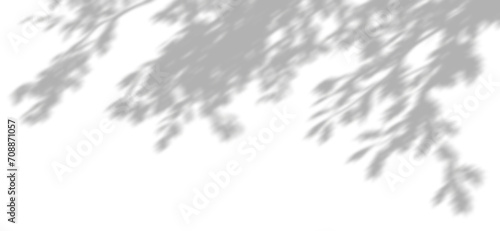 Shadow spa leaves flowing movement isolate transparent backgrounds 3d illustrations png