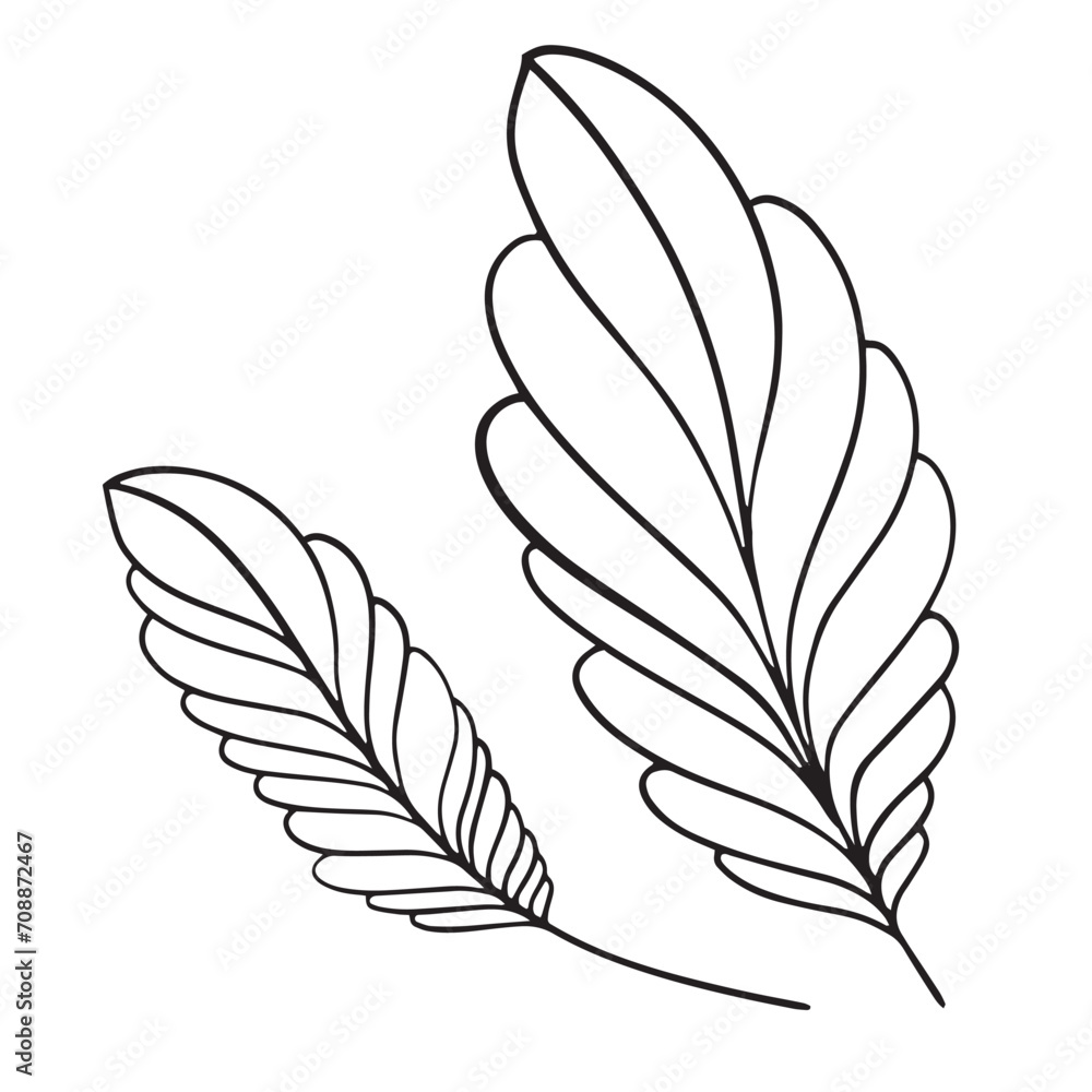 Fototapeta premium Black and white sheet. Vector illustration highlighted on a white background. For nature, eco and design. Hand-drawn plants, a frame for a postcard.