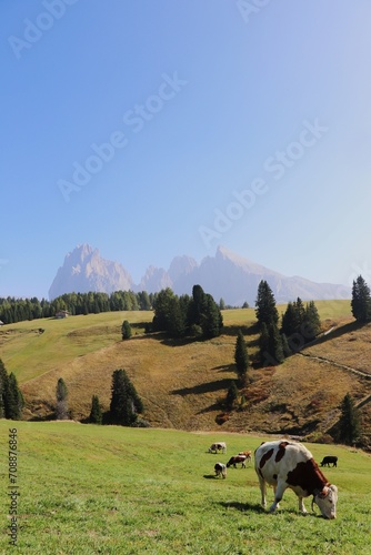 val Gardena 