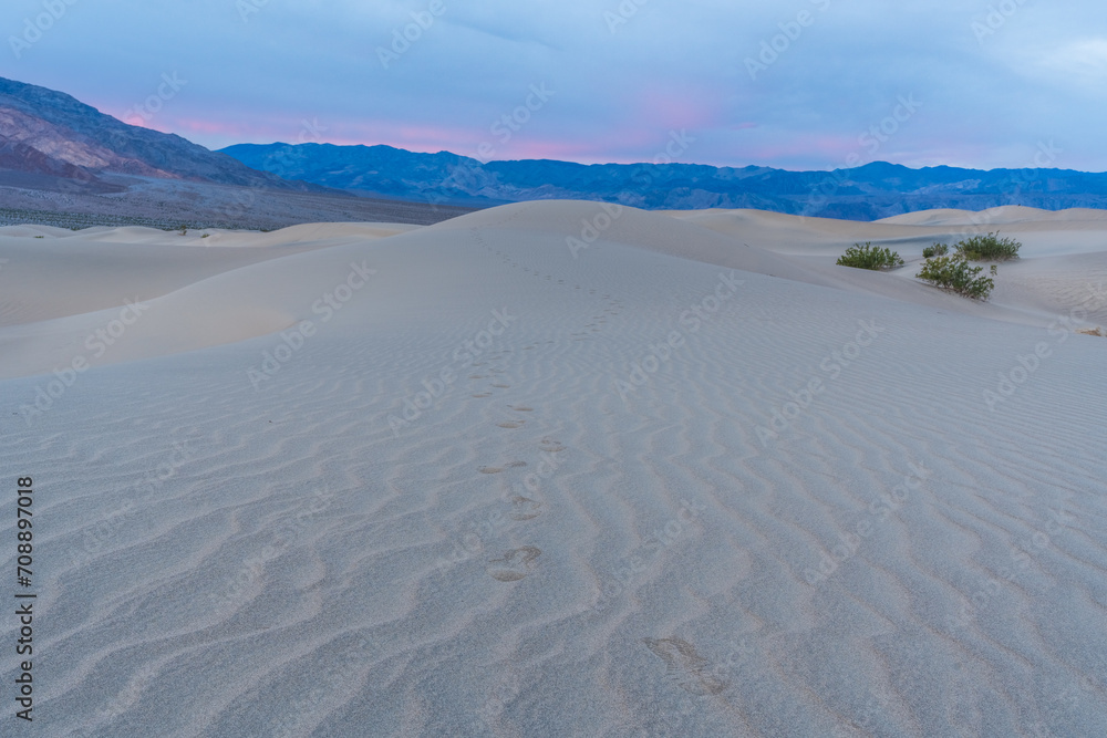 Footprints in the sand dunes of Death Valley, CA Footprints in the sand dunes of Death Valley, CA