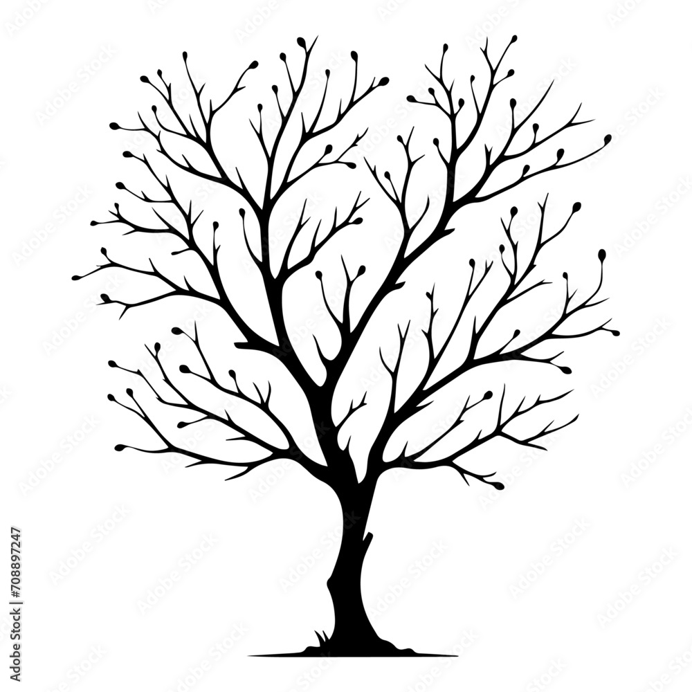 Obraz premium Vector leafless tree branch silhouette, isolated on white