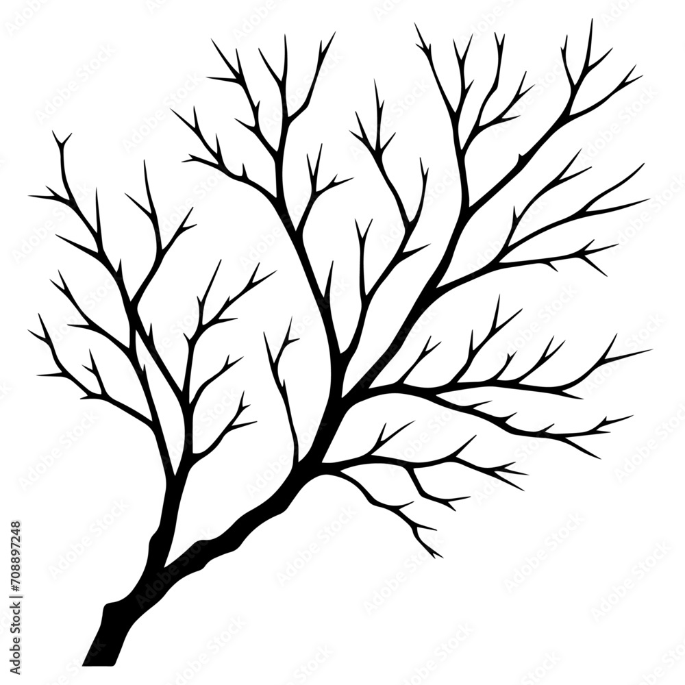 Naklejka premium Vector leafless tree branch silhouette, isolated on white