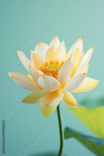 Yellow lotus flower soft elegant vertical background  card template