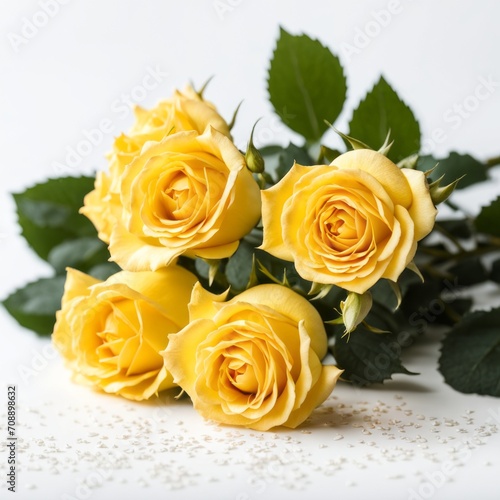 Yellow roses on white background  Conceptual image for love  dating  Valentine s Day  anniversary.