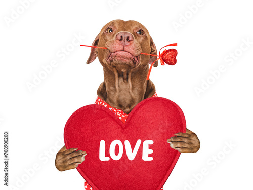 Billede på lærred I Love You