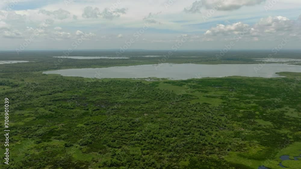 Drone view of Agusan Marsh Wildlife Sanctuary in the Philippines. Mindanao. Drone view of Agusan Marsh Wildlife Sanctuary in the Philippines. Mindanao.