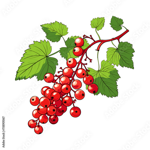 Red Currant  with branch realistic vector isolated on white background