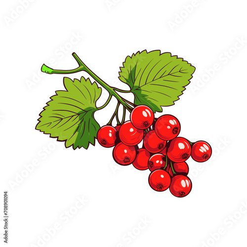 Red Currant  with branch realistic vector isolated on white background