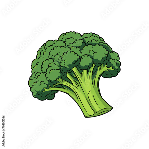 Fresh broccoli vegetable vector isolated on white background 