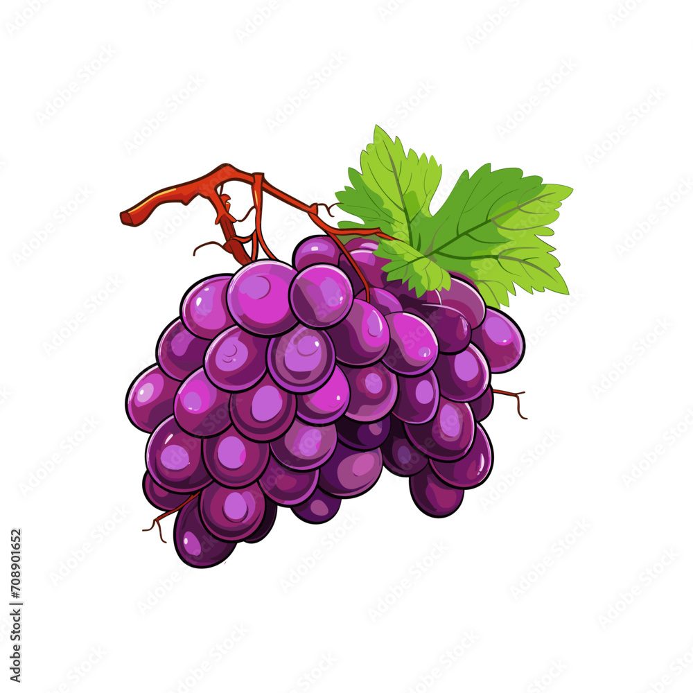Fototapeta premium bunch of grapes isolated on white background
