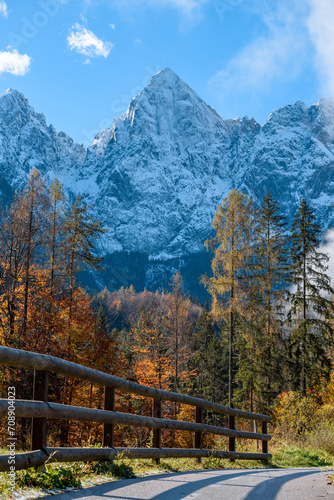 Scenic view of hiking trail in woodland under snowy mountains in autumn in Gozd Martuljek, Slovenia