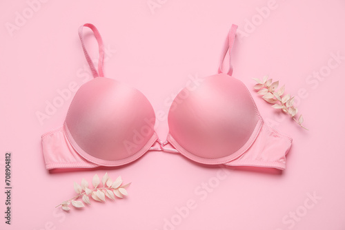 Stylish bra and dried plant branches on pink background
