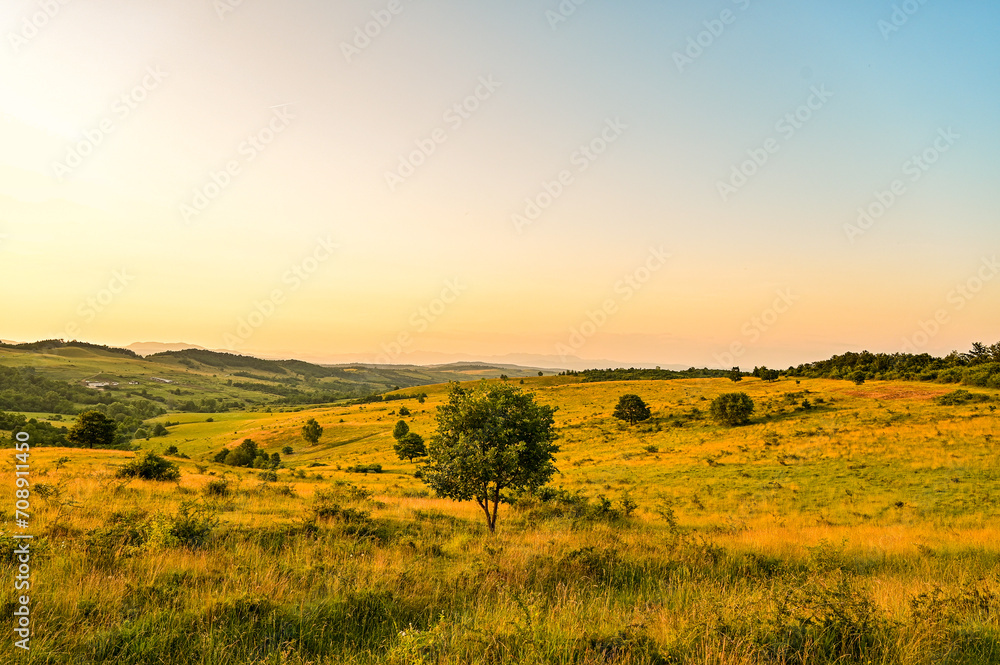 Beautiful sunset panorama over steppe-like landscape in Transylvania, with grasses, trees and mountains in the background, Hunedoara, Romania