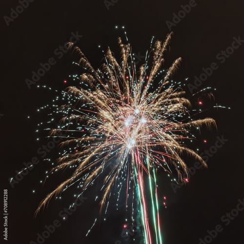 Bright fireworks lighting up the night sky