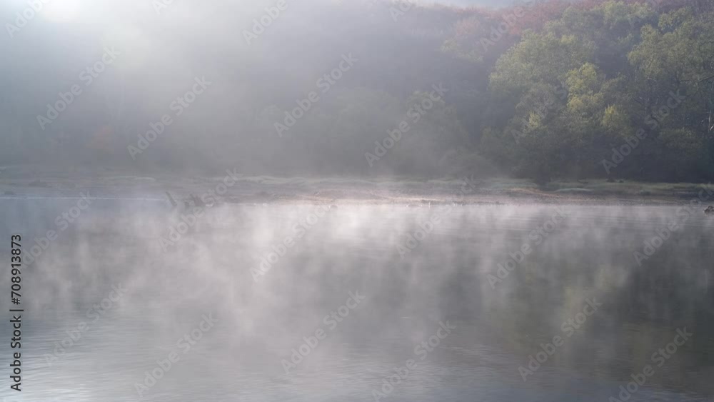 漂う朝霧 漂う朝霧