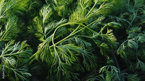  a close - up of a bunch of green plants with lots of green leaves on the top of the leaves and the bottom part of the leaves on the top of the top of the plant.