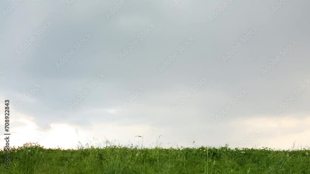 Cute bi-racial, mixed race boy in jeans goes back and forth on green meadow at dull day