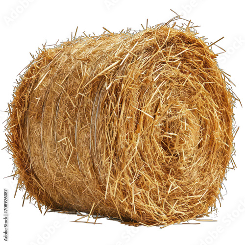Cylinder Hay Bale Isolated on Transparent or White Background, PNG