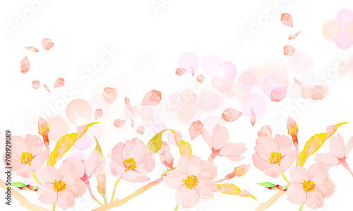 水彩で描いたかわいい桜の花のイラスト背景素材