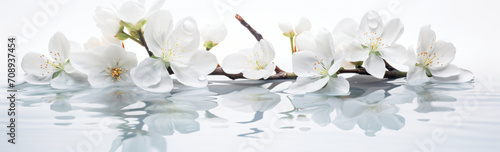 White blossoms are seen on a pristine white surface with mirrors, in the style of photographic, white background