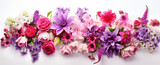 Bunch of flowers arranged into a border, in the style of colorful composition, colorized, pink and magenta, iso 200, lightbox, colorful still-lifes, white background

