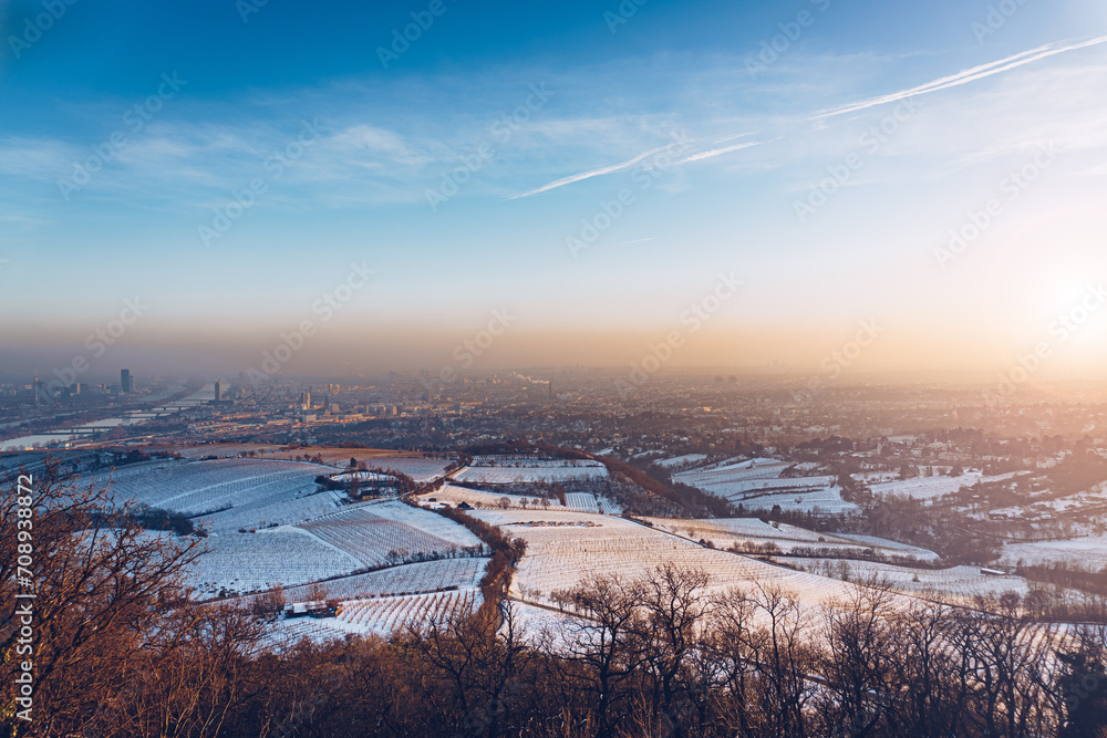 Obraz na płótnie Vienna capital city of Austria in Europe, during winter. Panorama view from Kahlenberg. w salonie