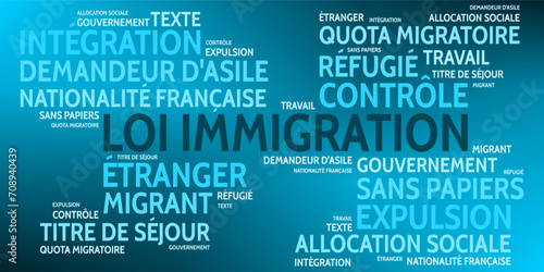 Nuage de Mots Loi Immigration v9