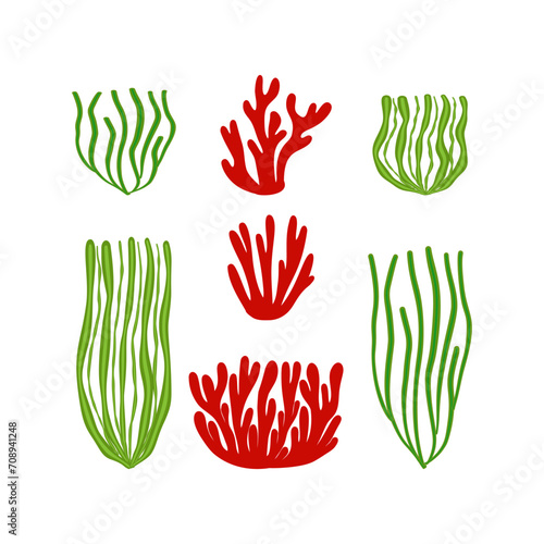 Seaweed and algae. Various seagrass and corals. Underwater and aquarium plant silhouettes. Design elements for seabed scene. Vector illustration isolated in white.