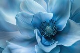 Graceful Blue Botanical Bloom Creating Abstract Floral Backdrop