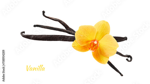 Dried dark brown vanilla pods and yellow orchid flower isolated on white background. Aromatic vanilla beans as spice