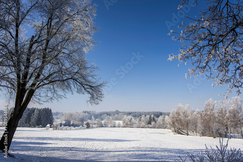 Winter im Unterallgäu © Bernd