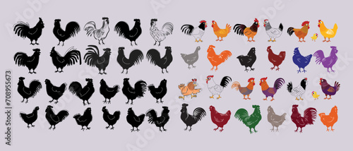 Big set of chicken, hen, rooster character hand drawn poultry farm animal collection vector illustration.