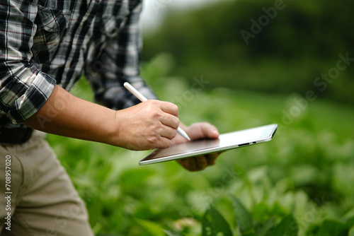 Businessman gardener using tablet Viewing potato plant picture of potato leaves in harvest season in fertile soil