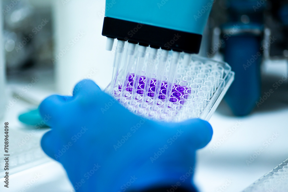 geneticist working with microplate for cells analysis in the genetic lab. Researcher working with samples of tissue culture in microplate in the bioengineering laboratory, medicine laboratory geneticist working with microplate for cells analysis in the genetic lab. Researcher working with samples of tissue culture in microplate in the bioengineering laboratory, medicine laboratory