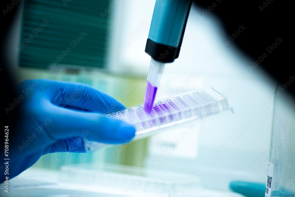 geneticist working with microplate for cells analysis in the genetic lab. Researcher working with samples of tissue culture in microplate in the bioengineering laboratory, medicine laboratory geneticist working with microplate for cells analysis in the genetic lab. Researcher working with samples of tissue culture in microplate in the bioengineering laboratory, medicine laboratory