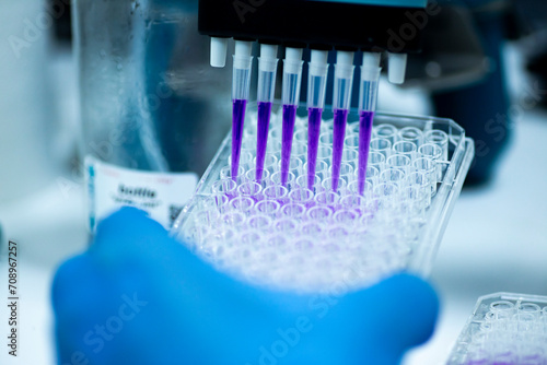 geneticist working with microplate for cells analysis in the genetic lab. Researcher working with samples of tissue culture in microplate in the bioengineering laboratory, medicine laboratory