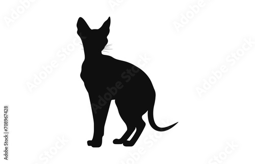 A Peterbald Cat Silhouette black art isolated on a white background