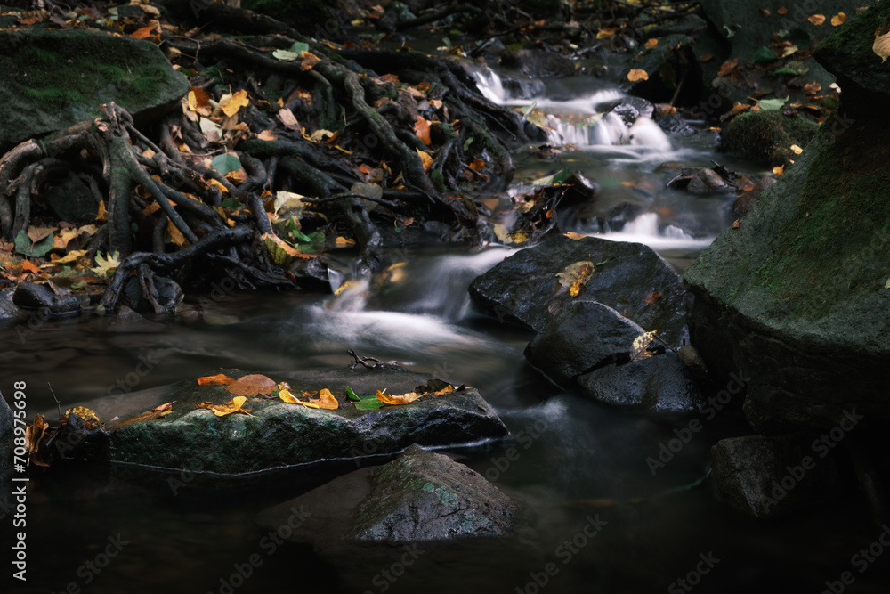 Fototapeta premium waterfall in autumn forest
