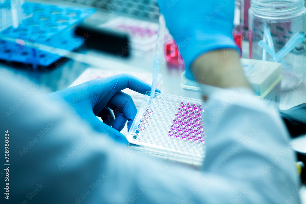 geneticist working with microplate for cells analysis in the genetic ...
