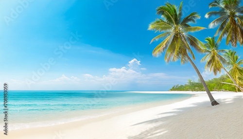 beautiful tropical beach banner white sand and coco palms travel tourism wide panorama background concept amazing beach landscape © Richard