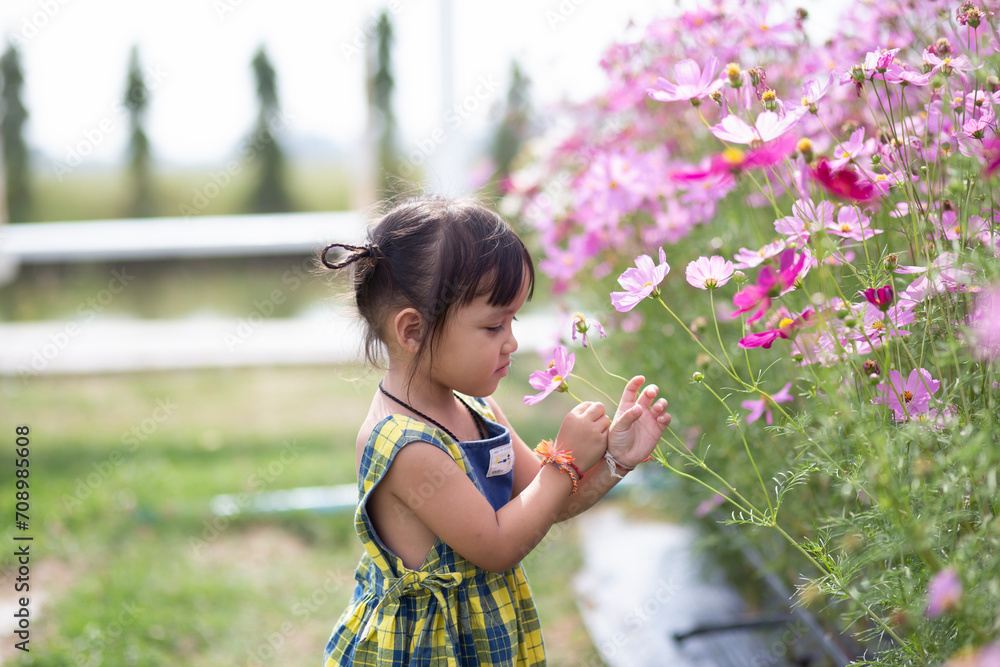 Female hands touch flowers on background with beautiful flowers and green leaves in the garden. Women's hands touch and enjoy the beauty of a natural Asian flower garden. Female hands touch flowers on background with beautiful flowers and green leaves in the garden. Women's hands touch and enjoy the beauty of a natural Asian flower garden.