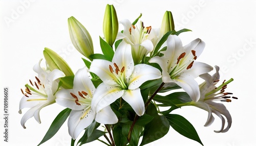 white lily flowers and buds with green leaves on white background isolated close up lilies bunch elegant bouquet lillies floral pattern romantic holiday greeting card wedding invitation design © Richard