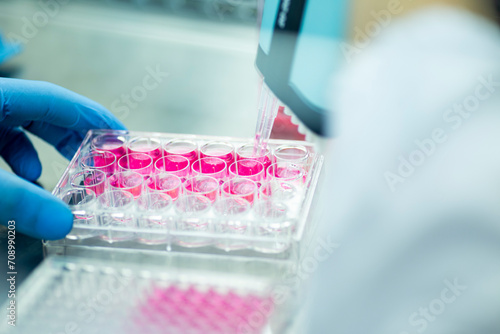 geneticist working with microplate for cells analysis in the genetic lab. Researcher working with samples of tissue culture in microplate in the bioengineering laboratory