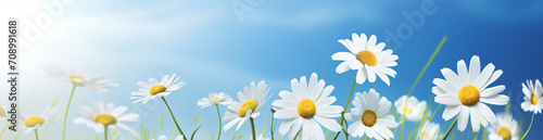 Daisy and daisy flower flower in summer  in the style of bokeh panorama  realistic blue skies  abstract landscape  3840x2160  light-filled  