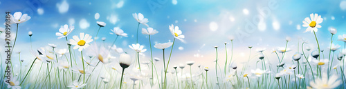 Daisy and daisy flower flower in summer, in the style of bokeh panorama, realistic blue skies, abstract landscape, 3840x2160, light-filled