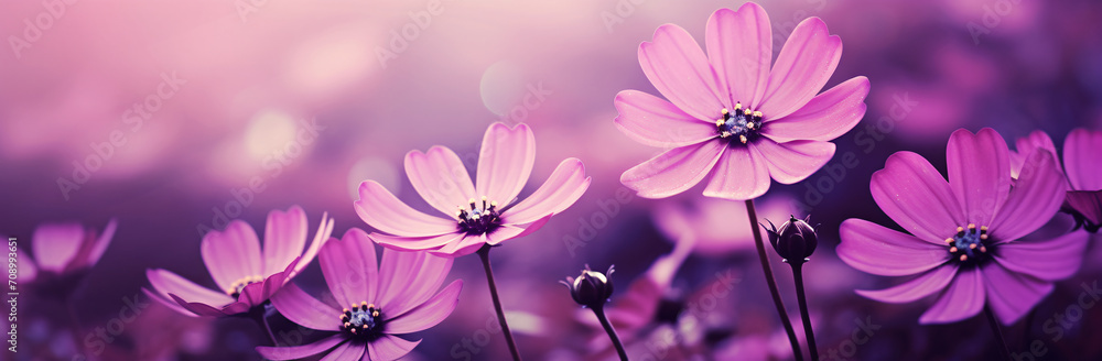I love purple flowers, they are very beautiful, in the style of nature morte, cross-processing/processed, light pink, macro zoom, storybook-like, monochromatic color scheme, water drops
I love purple flowers, they are very beautiful, in the style of nature morte, cross-processing/processed, light pink, macro zoom, storybook-like, monochromatic color scheme, water drops